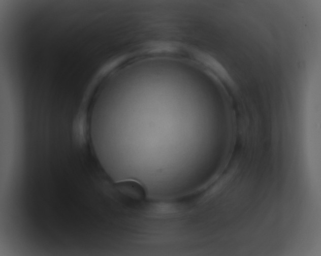 X0000101401172200807071212
