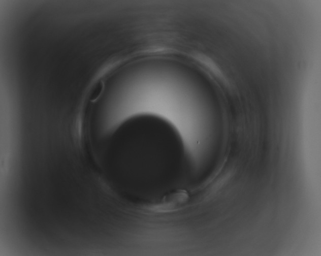 X0000101401173200807071212