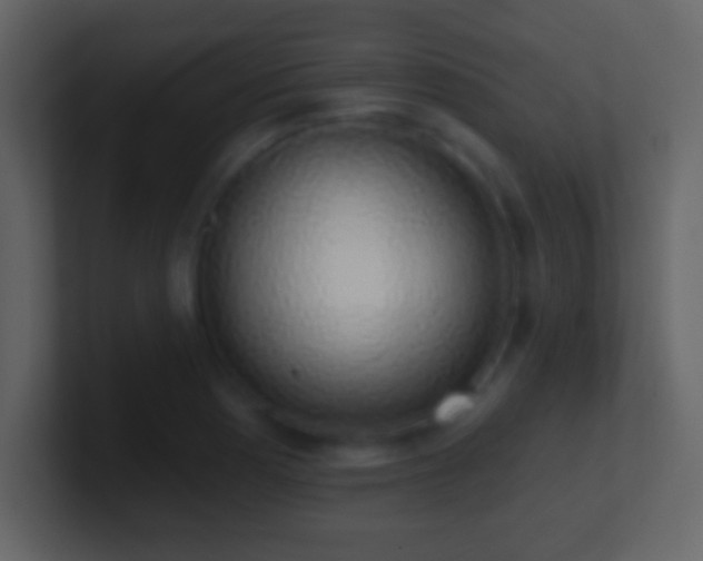 X0000101401177200807071212