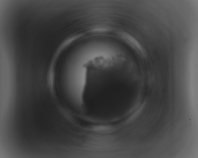X0000101401179200807071212