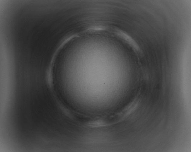 X0000101401186200807071212