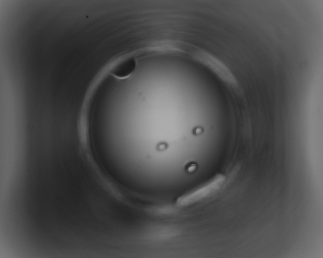 X0000101401188200807071212