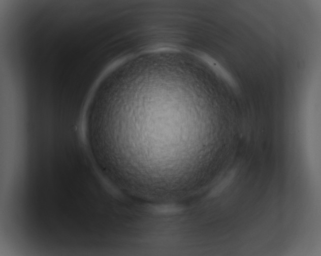 X0000101401189200807071212