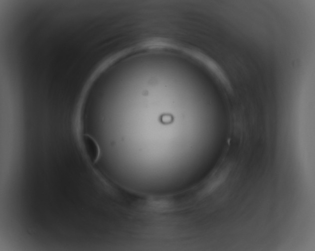 X0000101401191200807071212