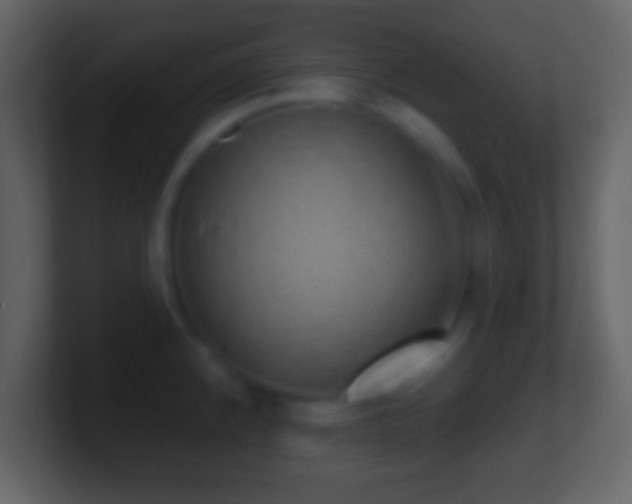 X0000101401192200807071212