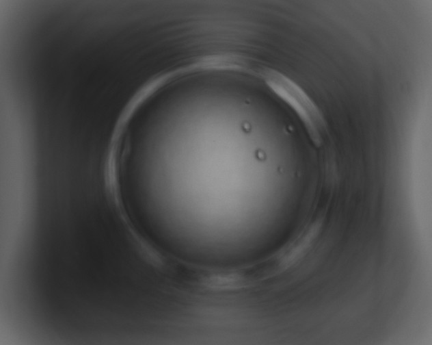 X0000101401196200807071212