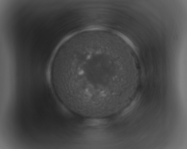 X0000101401197200807071212