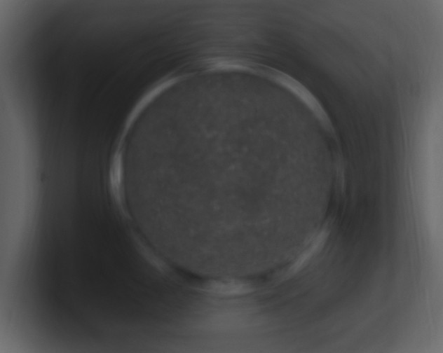 X0000101401198200807071212