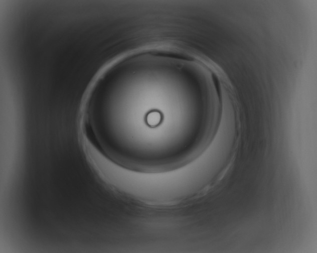 X0000101401200200807071212