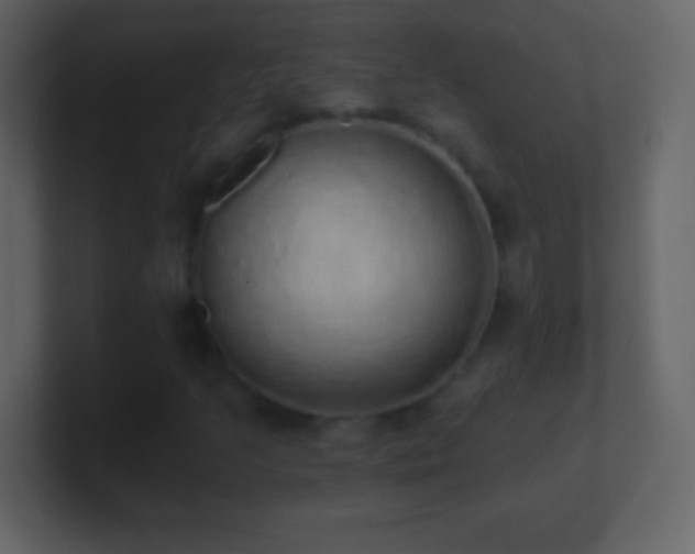 X0000101401205200807071211