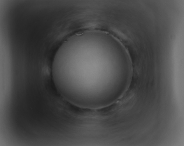 X0000101401206200807071211