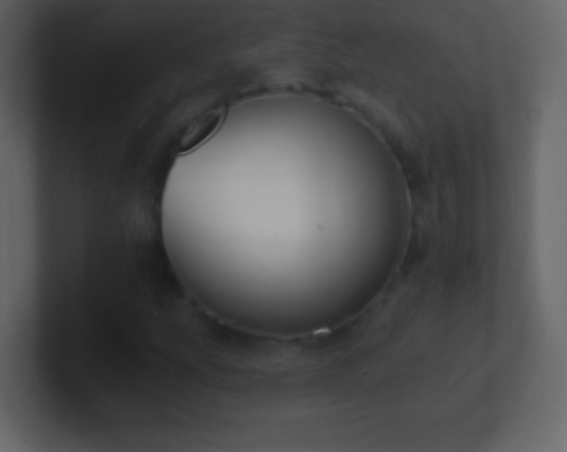 X0000101401207200807071211