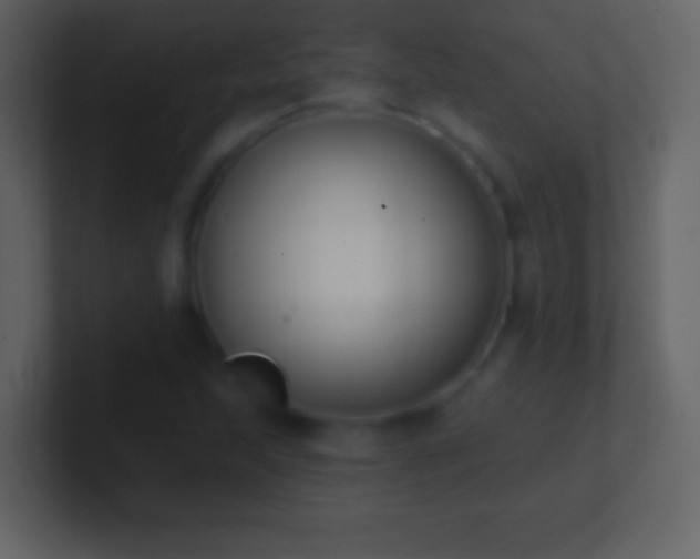 X0000101401215200807071211