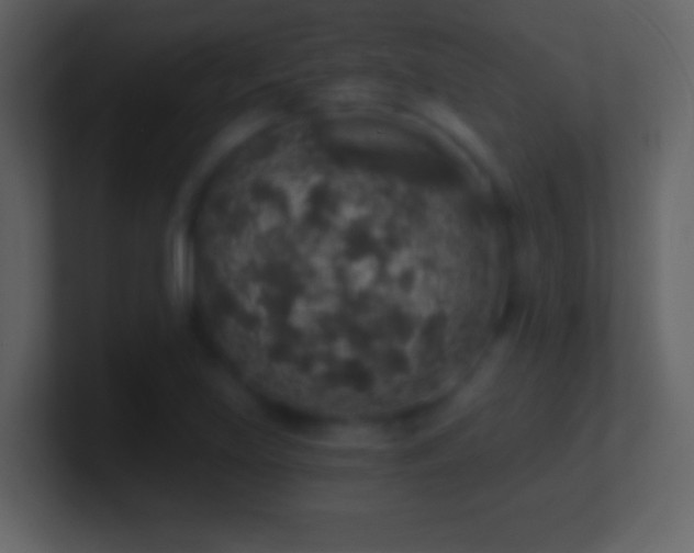 X0000101401219200807071211