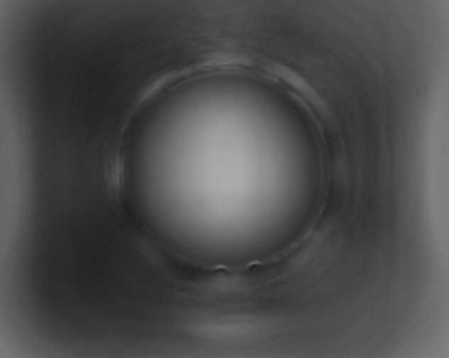 X0000101401220200807071211