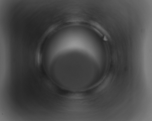 X0000101401221200807071211