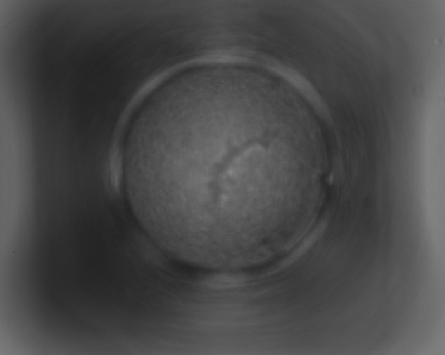 X0000101401224200807071211