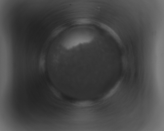 X0000101401225200807071211
