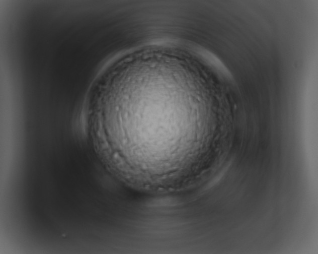 X0000101401228200807071211