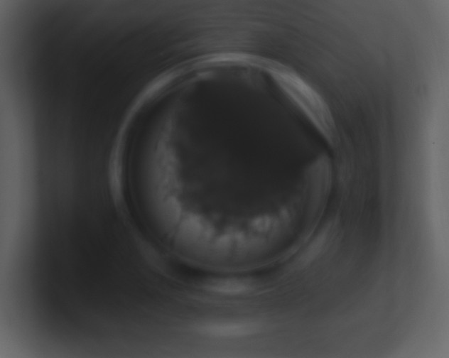 X0000101401229200807071211