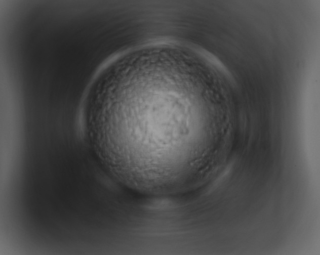 X0000101401230200807071211