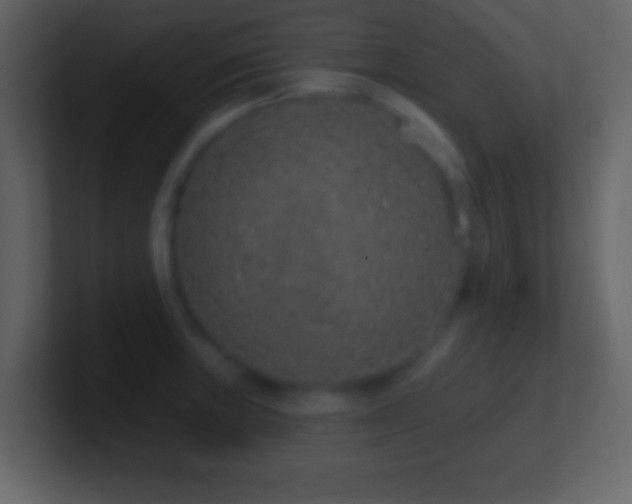 X0000101401235200807071211