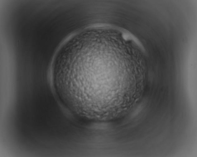 X0000101401237200807071211