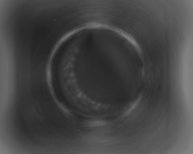 X0000101401239200807071211