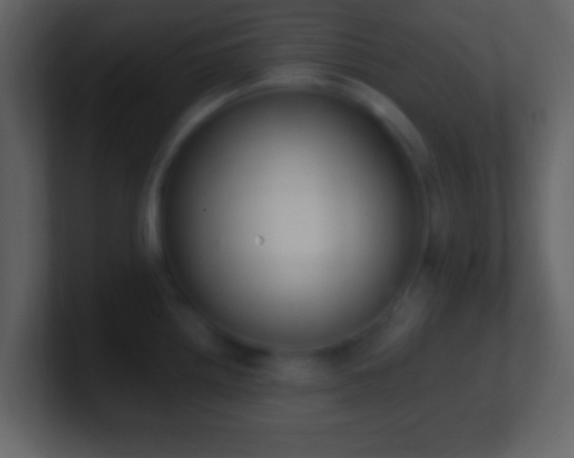 X0000101401242200807071212