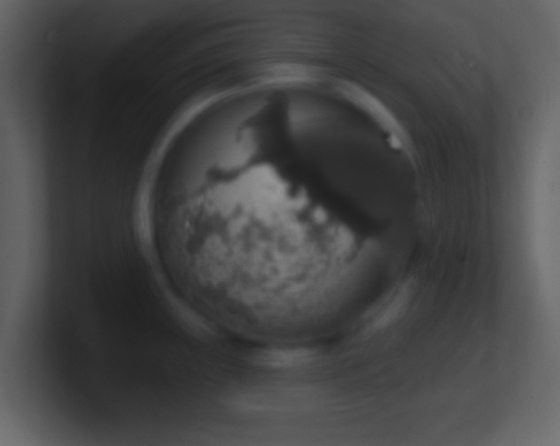 X0000101401243200807071212
