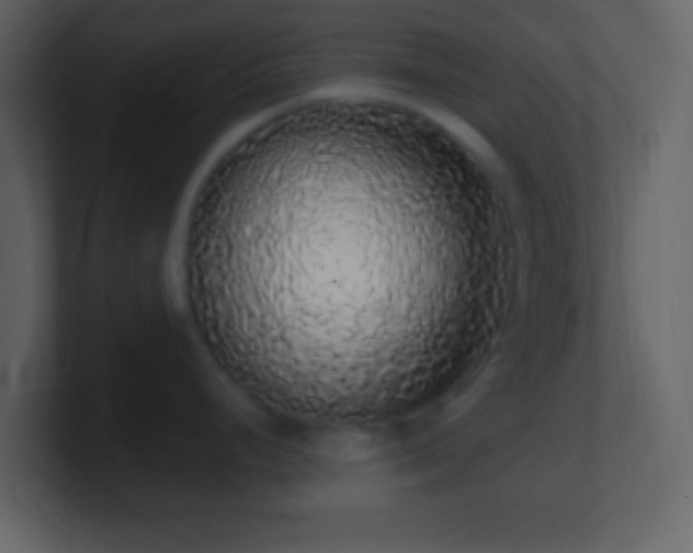 X0000101401248200807071212