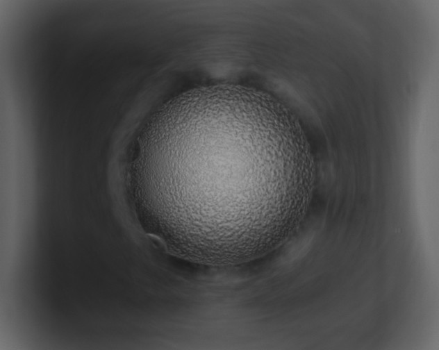X0000101401249200807071211
