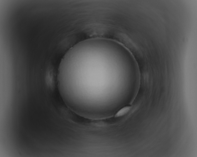 X0000101401250200807071211