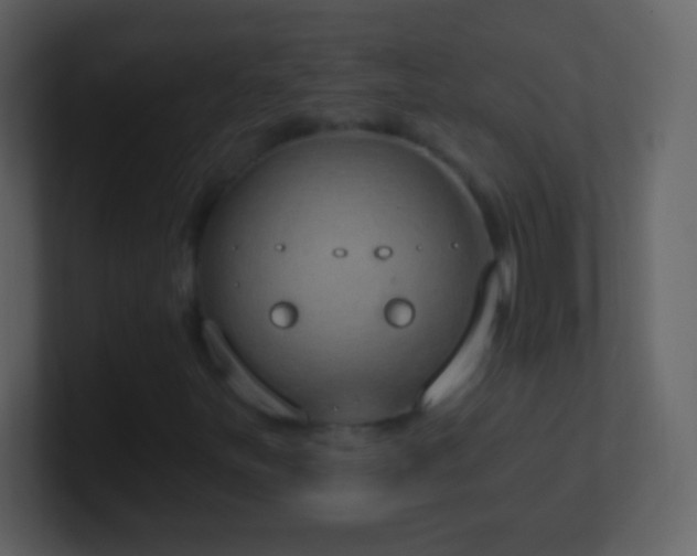 X0000101401251200807071211