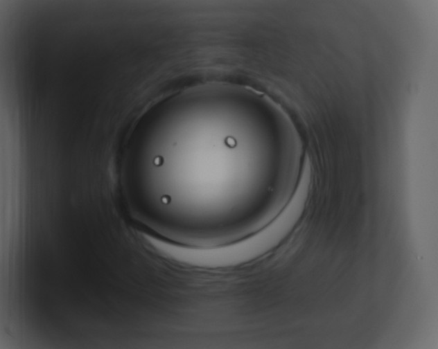 X0000101401252200807071211