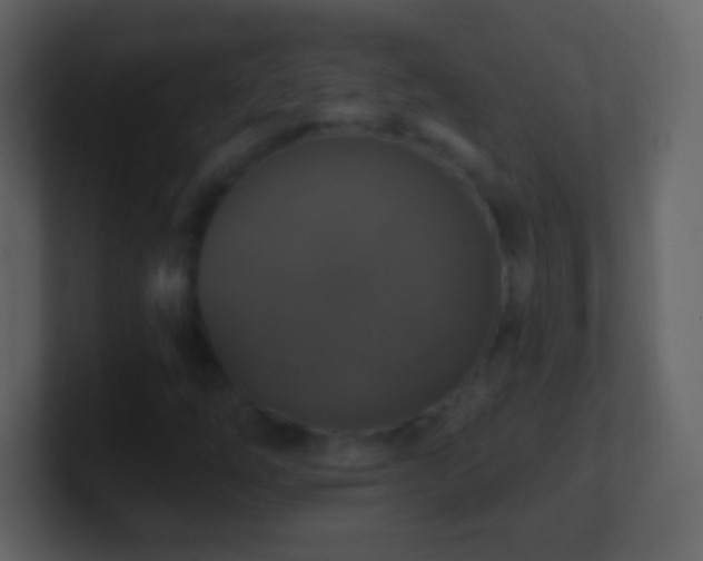 X0000101401254200807071211