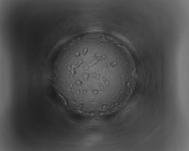 X0000101401255200807071211