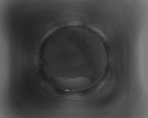 X0000101401256200807071211