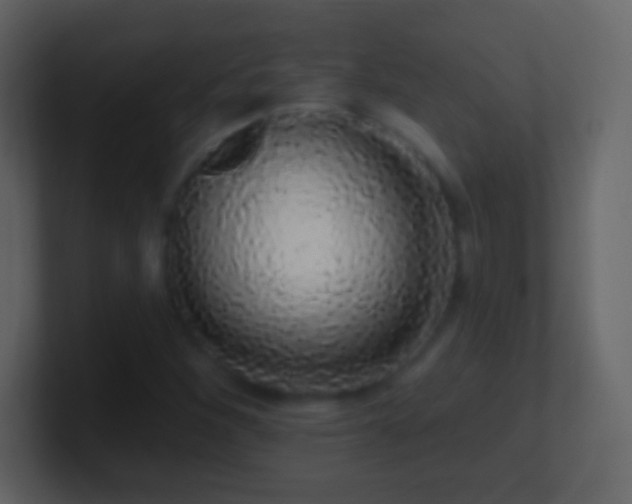 X0000101401260200807071211