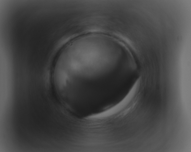 X0000101401263200807071211