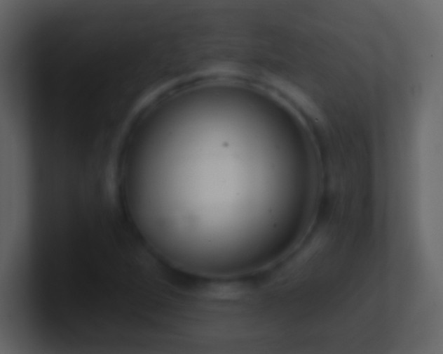 X0000101401264200807071211