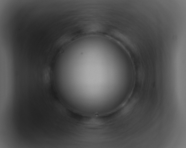 X0000101401265200807071211