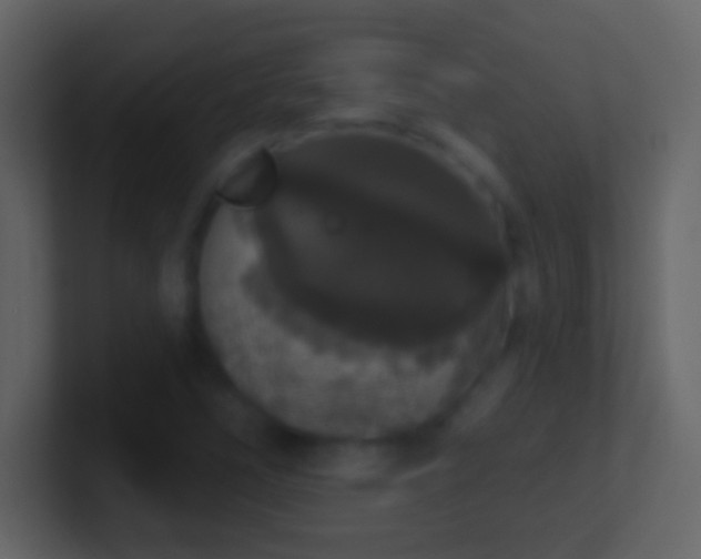 X0000101401266200807071211