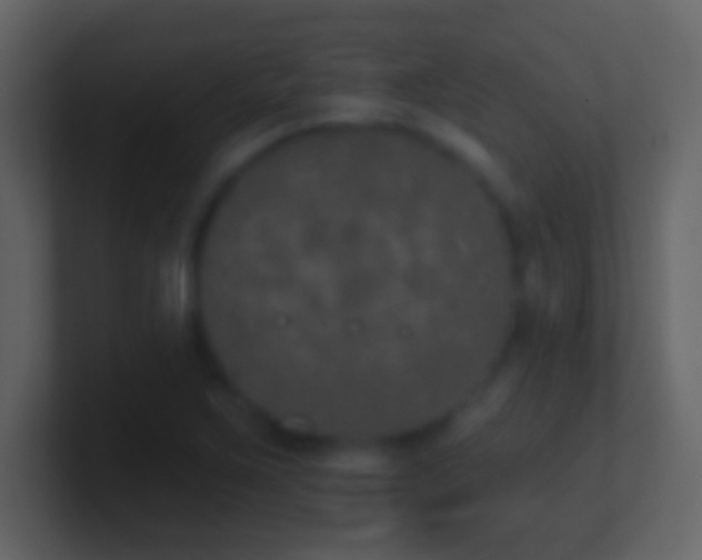 X0000101401267200807071211