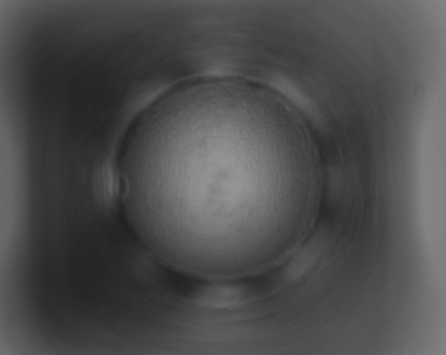 X0000101401269200807071211