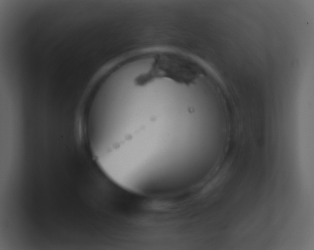 X0000101401271200807071211