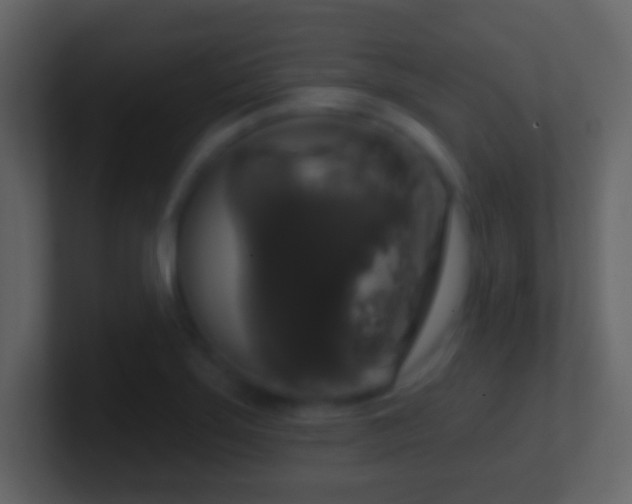 X0000101401275200807071211