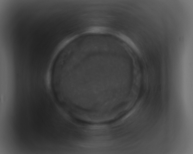 X0000101401277200807071211