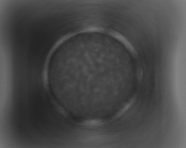 X0000101401278200807071211