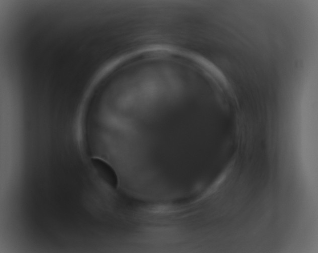 X0000101401279200807071211